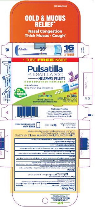 Pulsatilla 30C Bonus Pack 6896194 06.2020